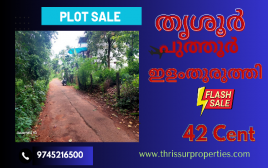 42 cent Plot For Sale at Elamthuruthi,Kuttanelloor,Thrissur